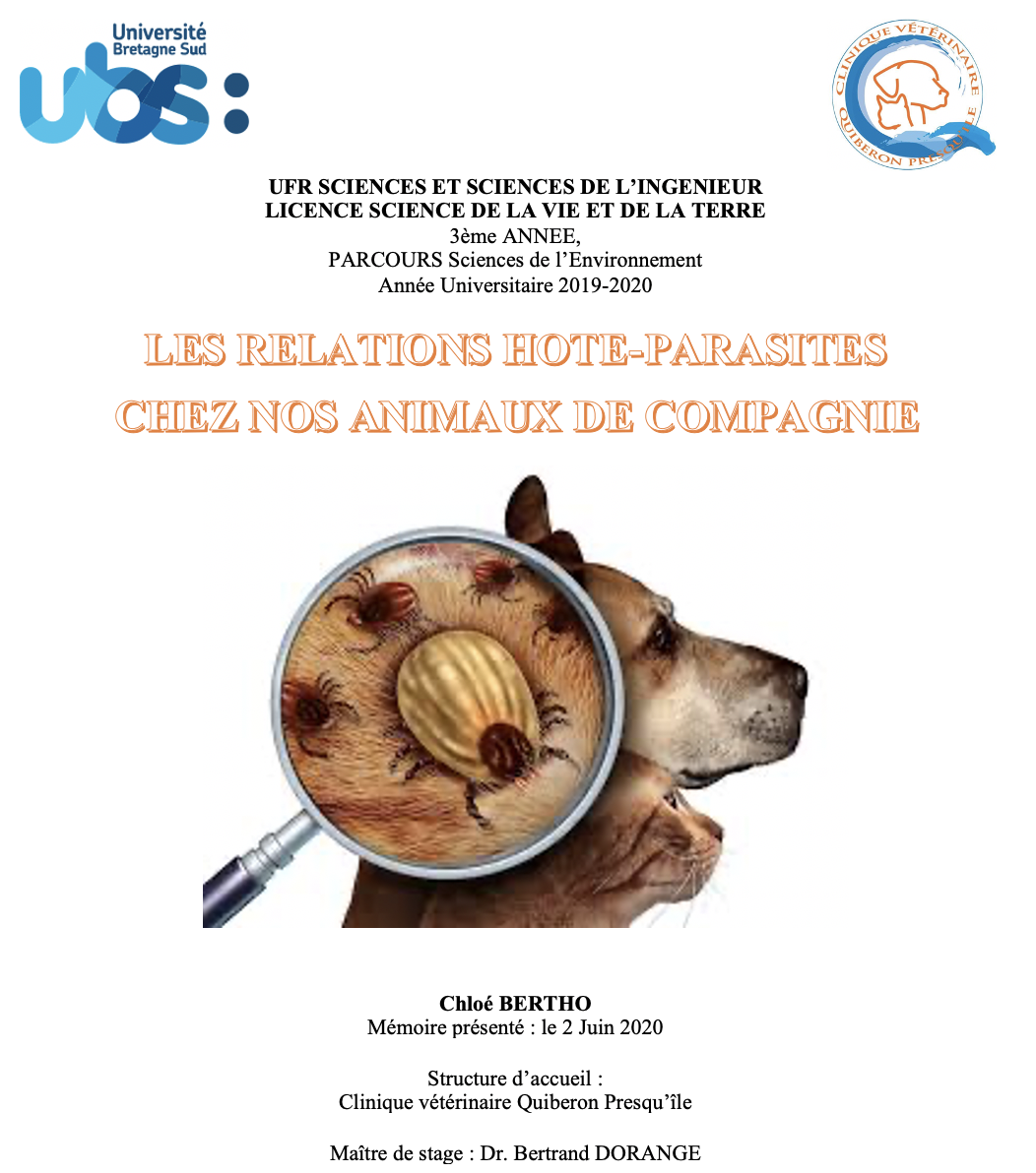 Page de garde de mon rapport de stage.